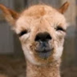 Meet your Posher, Elyse